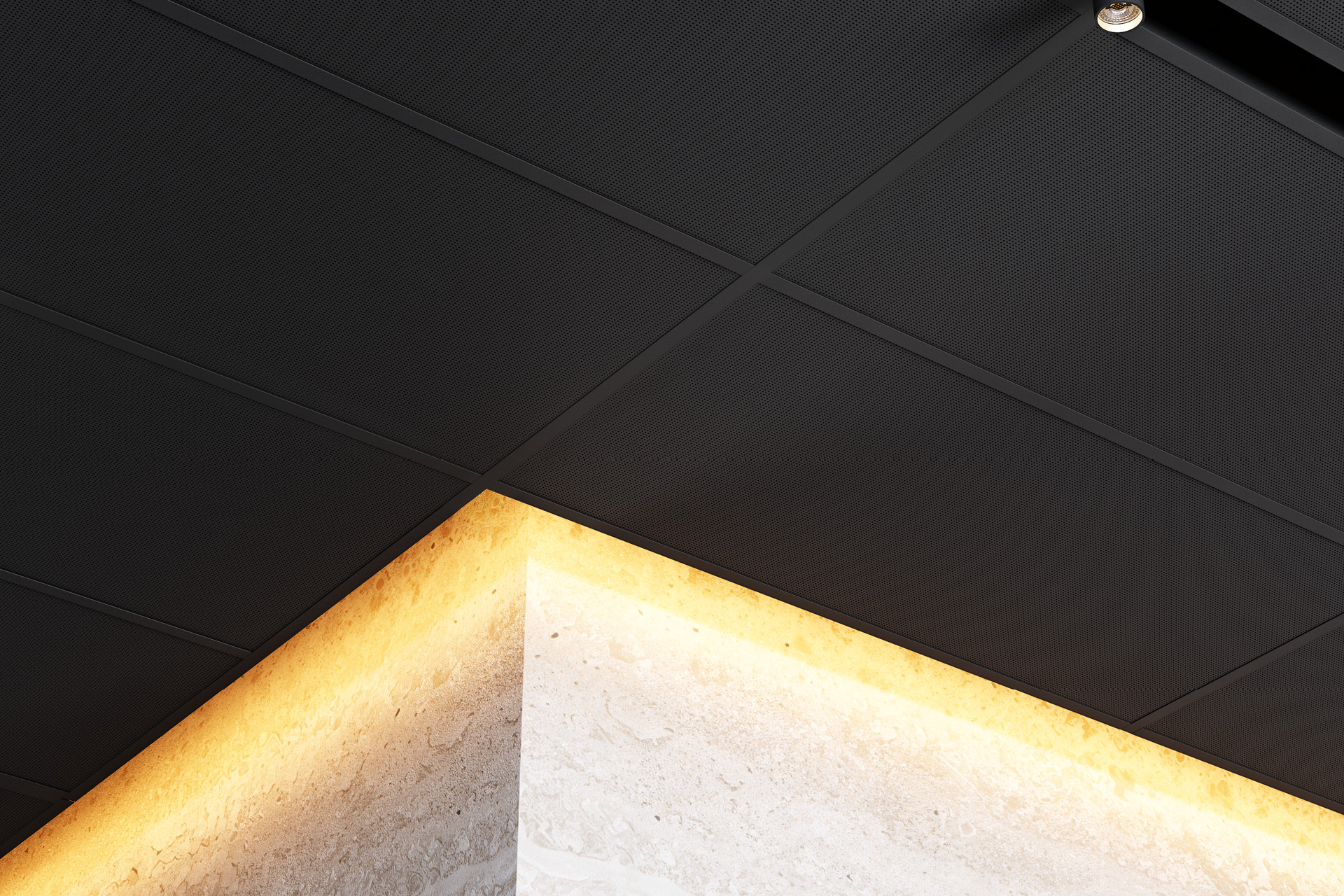 Enterprise 220 metal panel ceiling with exposed grid