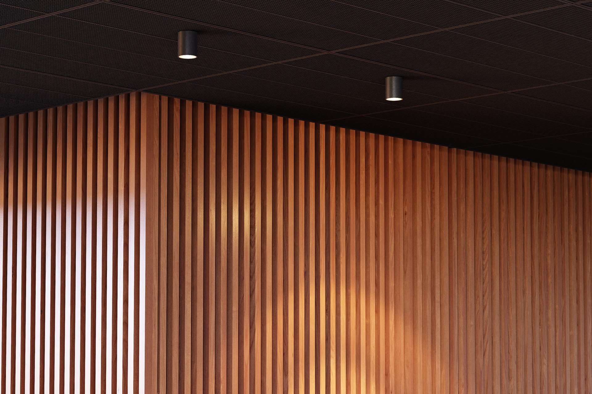 Enterprise 610 batten wall panel solution