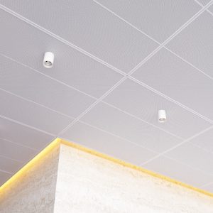 Enterprise 200 perforated metal panels lay in exposed grid