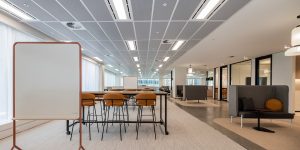 Metal panel ceiling in commercial office offering sustainability and acoustic benefits