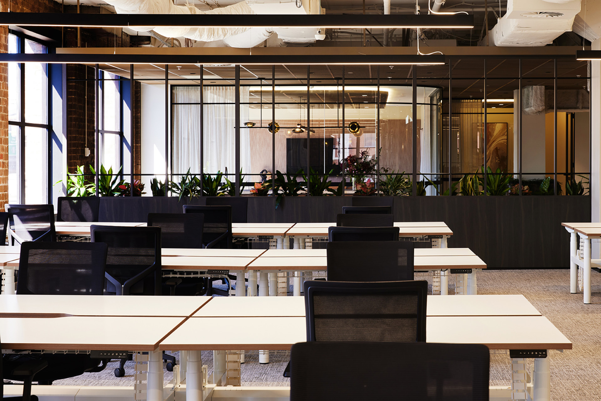 Enterprise Mesh metal panel ceiling installed at 235 Pyrmont St, Level 5 spec suite