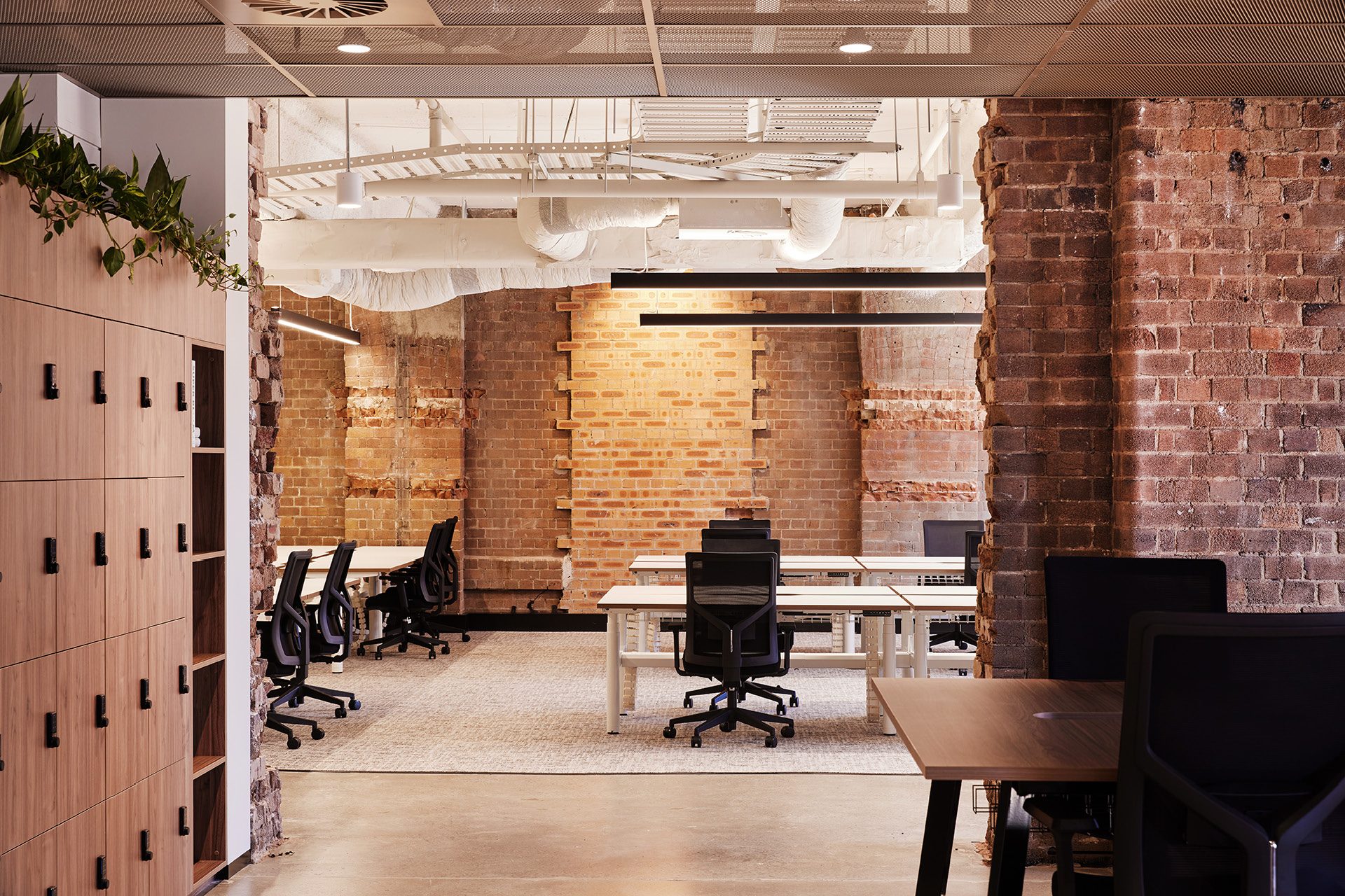 Enterprise Mesh metal panel ceiling installed at 235 Pyrmont St, Level 5 spec suite